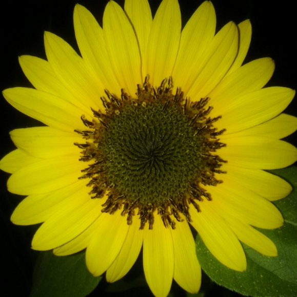 Meet your Posher, Janet - Picture 10 of 16